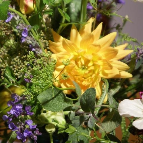Seasonal AUTUMN Flower & Herb Bouquet