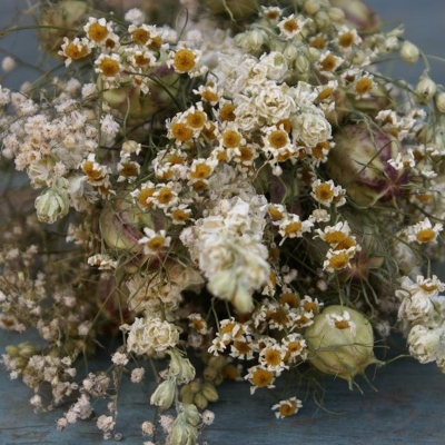 Dried Flower Workshop