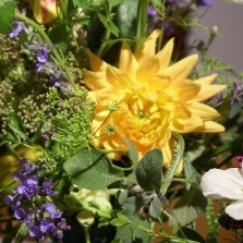 Seasonal AUTUMN Flower & Herb Bouquet