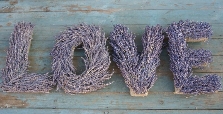 Lavender Letters