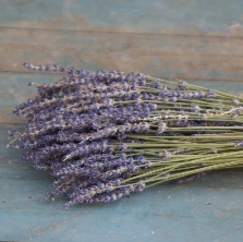 Dried Lavender Bunch