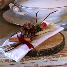 RUSTIC VELVET Festive Napkin Posies set of 4