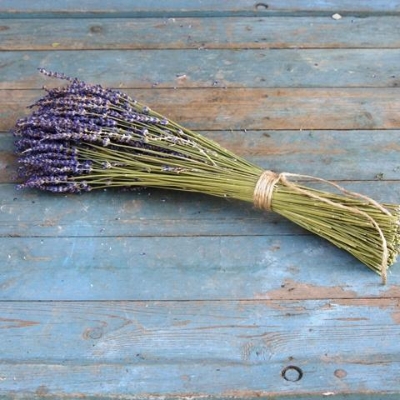 Dried Lavender Bunch